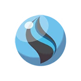 Charizardite X