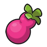 Payapa Berry