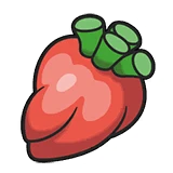 Persim Berry