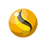 Raichunite Y