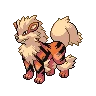 Arcanine